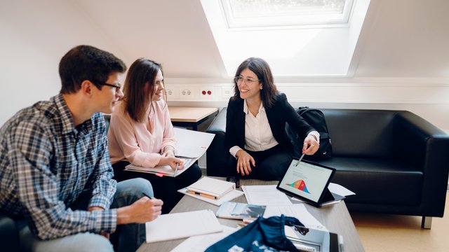 Betriebswirtschaftslehre * (Bachelor)