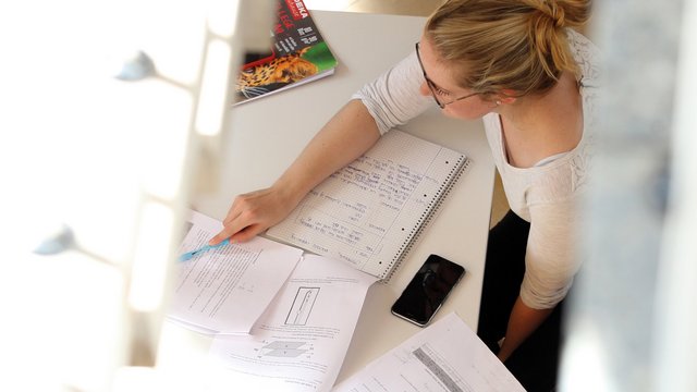 Wirtschaftsinformatik (Bachelor)